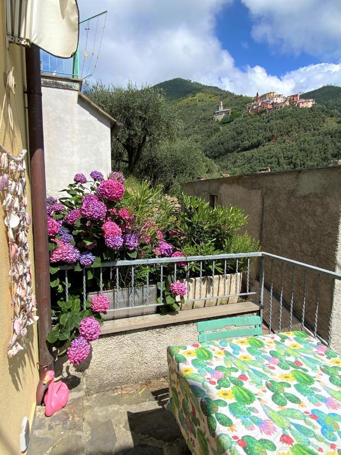 Le Case Della Lizza - Casa Blu Levanto Exteriér fotografie